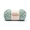 Caron® Simply Me Mosaic™ Yarn